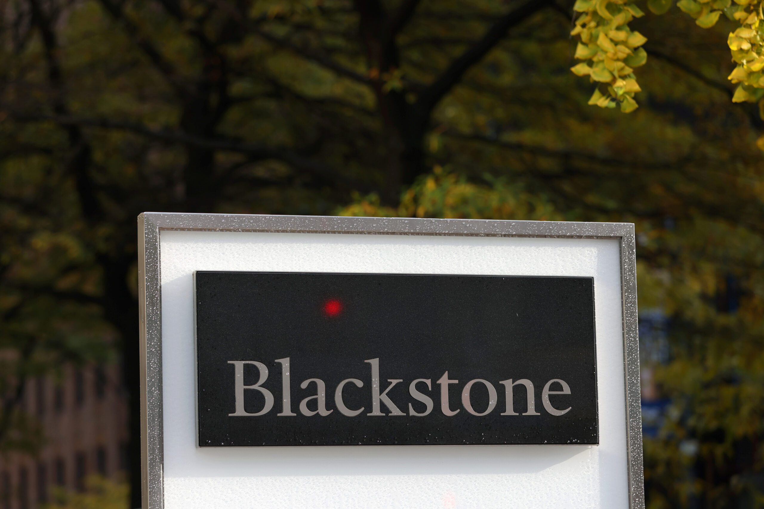 Blackstone mulls selling stake in visa firm VFS Global